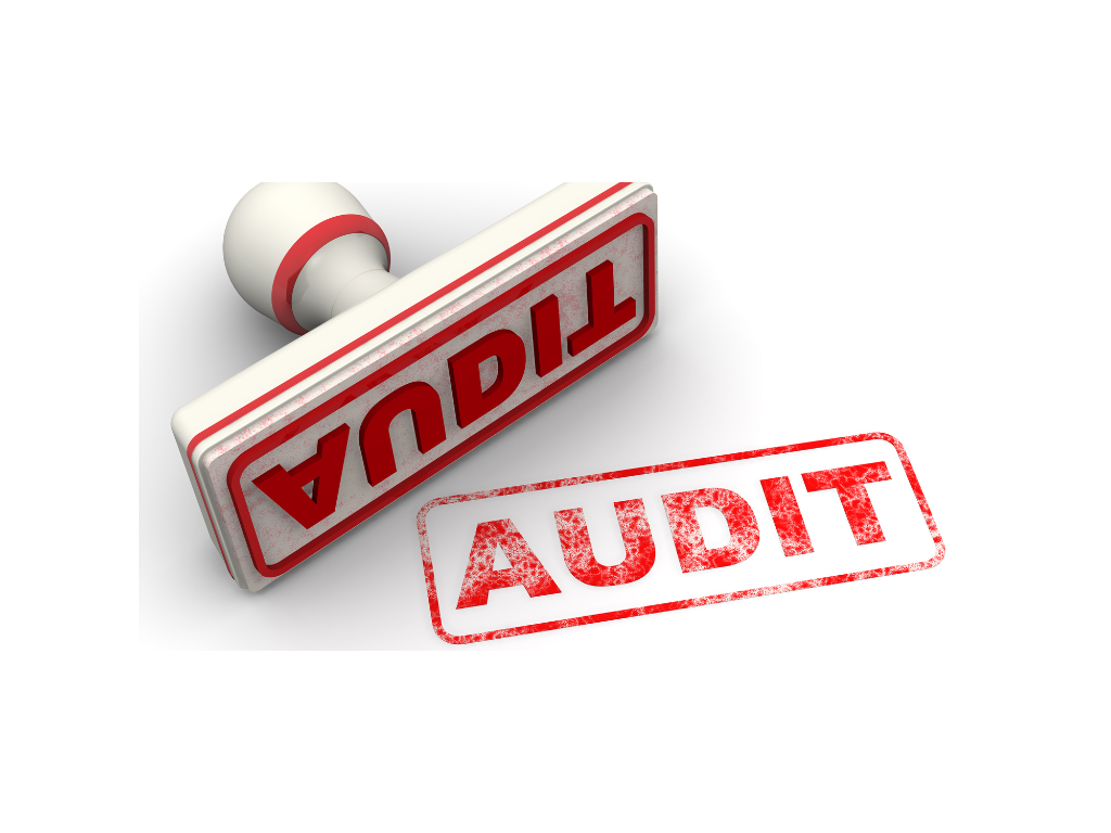 Woodlawn Audit (Evonne Kovach, Village of Woodlawn Fiscal Mismanagement) 